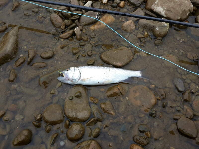 20140427_103244.jpg