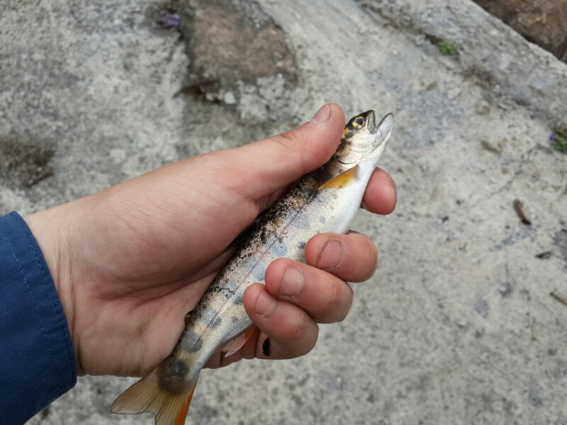 20140412_111305.jpg