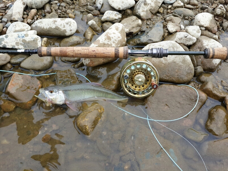 20140427_100428.jpg
