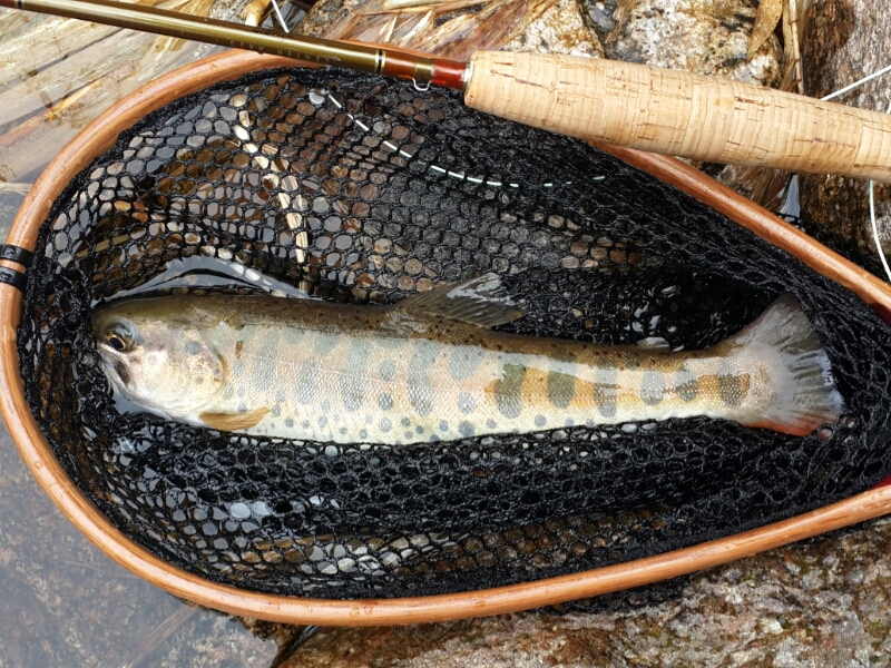 20140412_112536.jpg