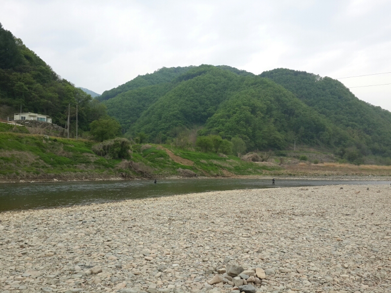 20140427_085327.jpg