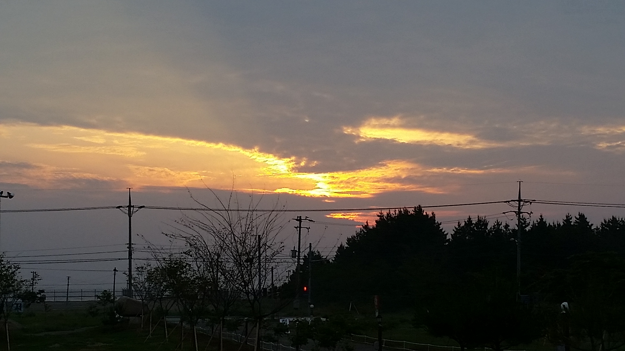 20140606_052009.jpg