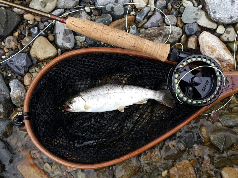 20140405_103544.jpg