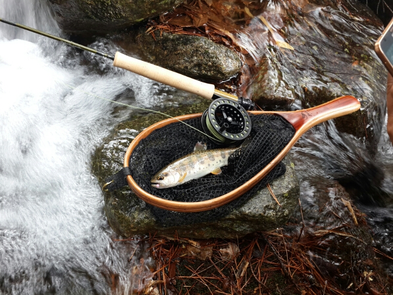 20140329_095755.jpg