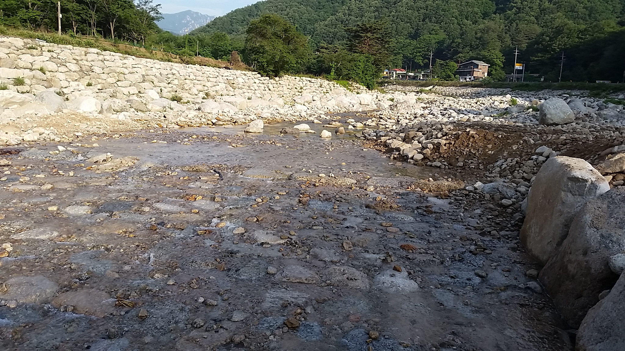20140606_065645.jpg