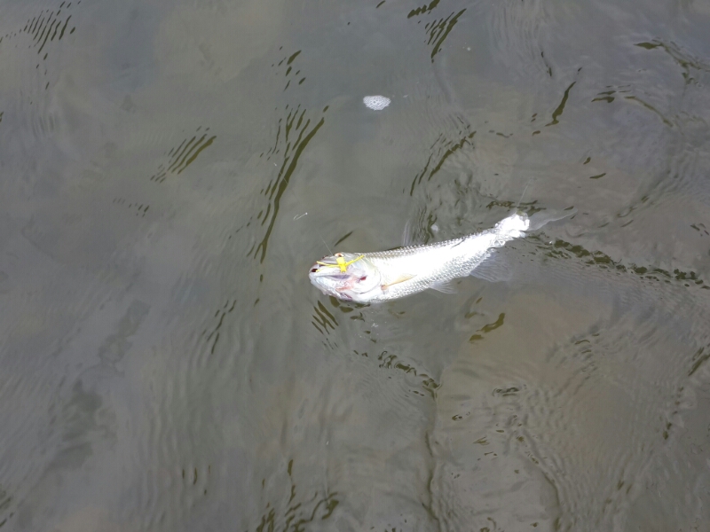 20140427_110813.jpg