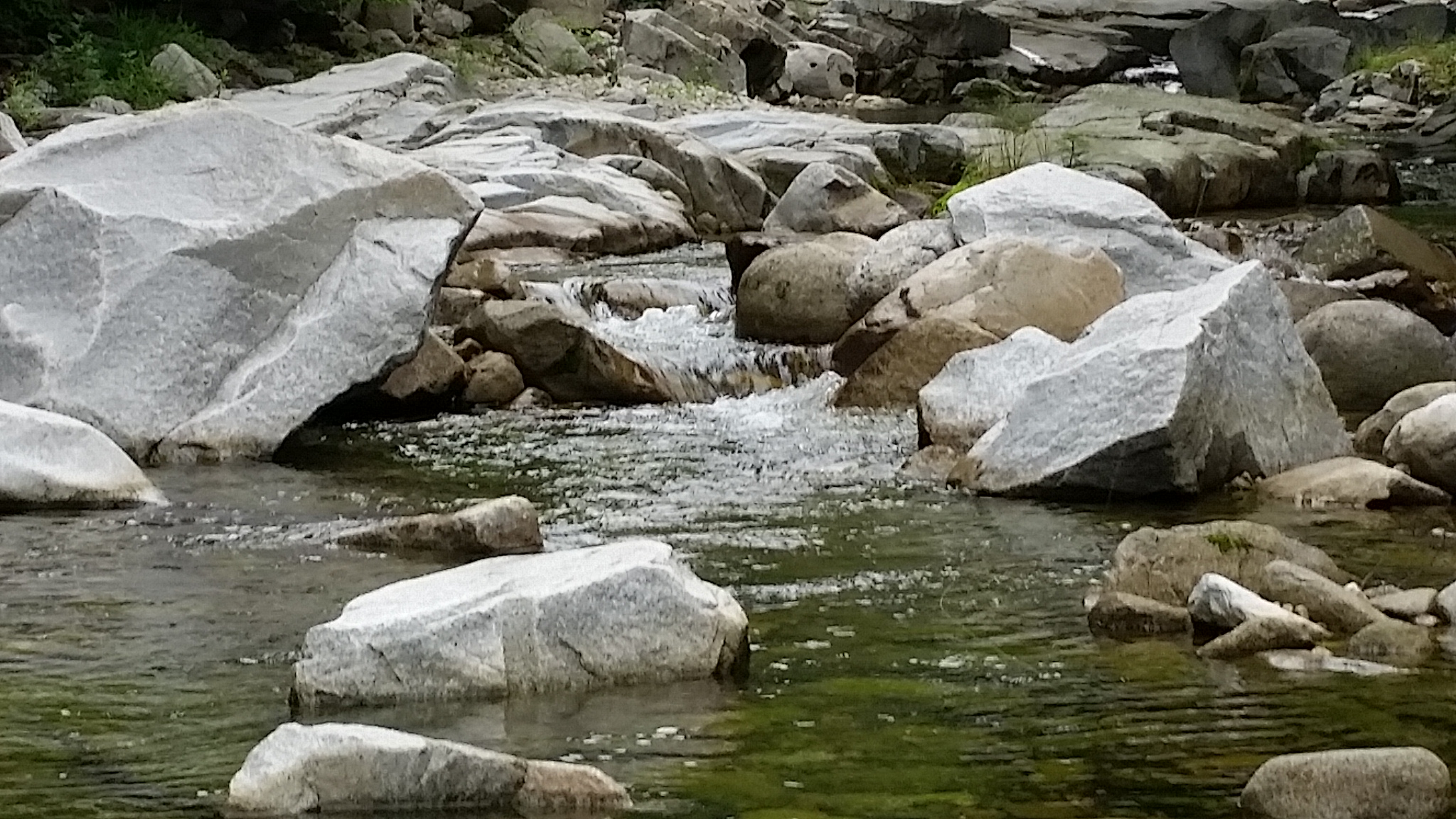 20140607_081816.jpg
