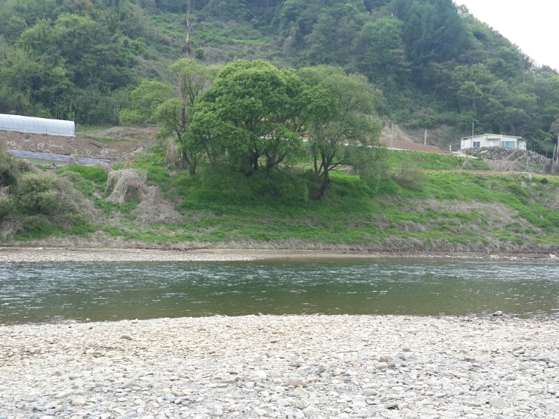 20140427_110224.jpg