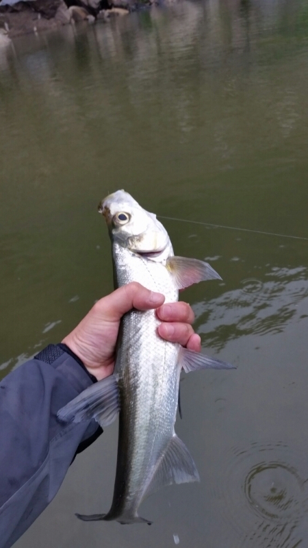 20140814_160415.jpg