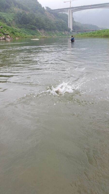 20140814_160056.jpg