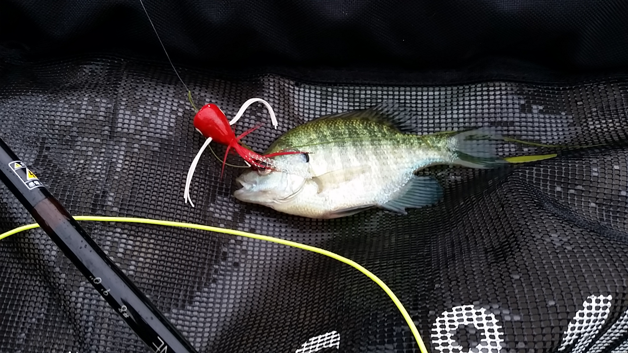 20140608_071126.jpg