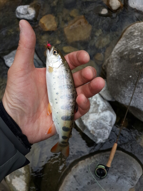 20140405_095228.jpg