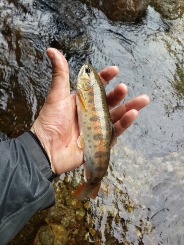 20140329_121055.jpg