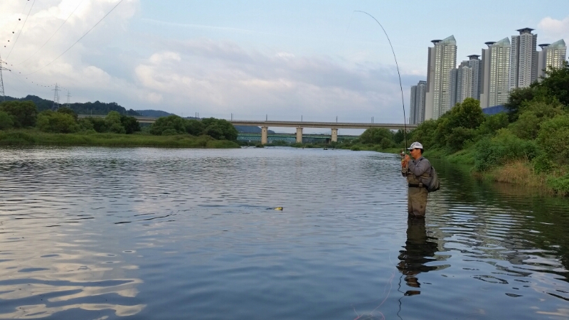 20140815_181234.jpg