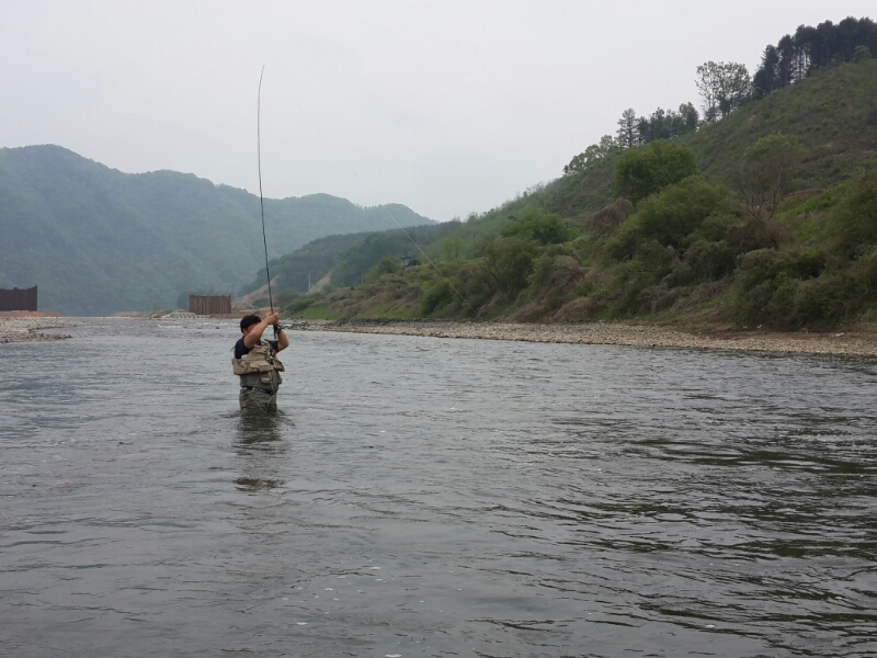 20140427_105403.jpg