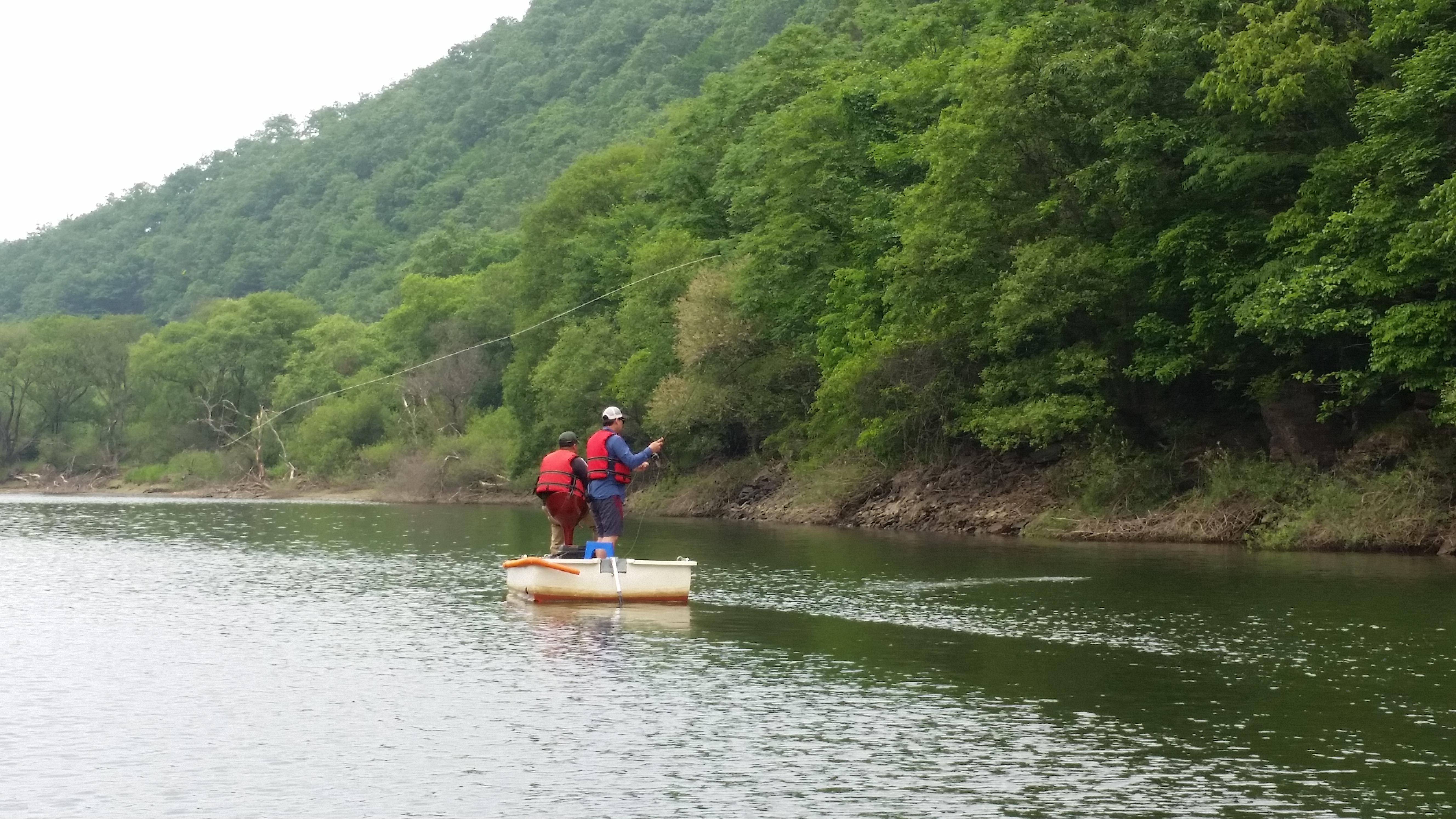 20140525_105547_010.jpg