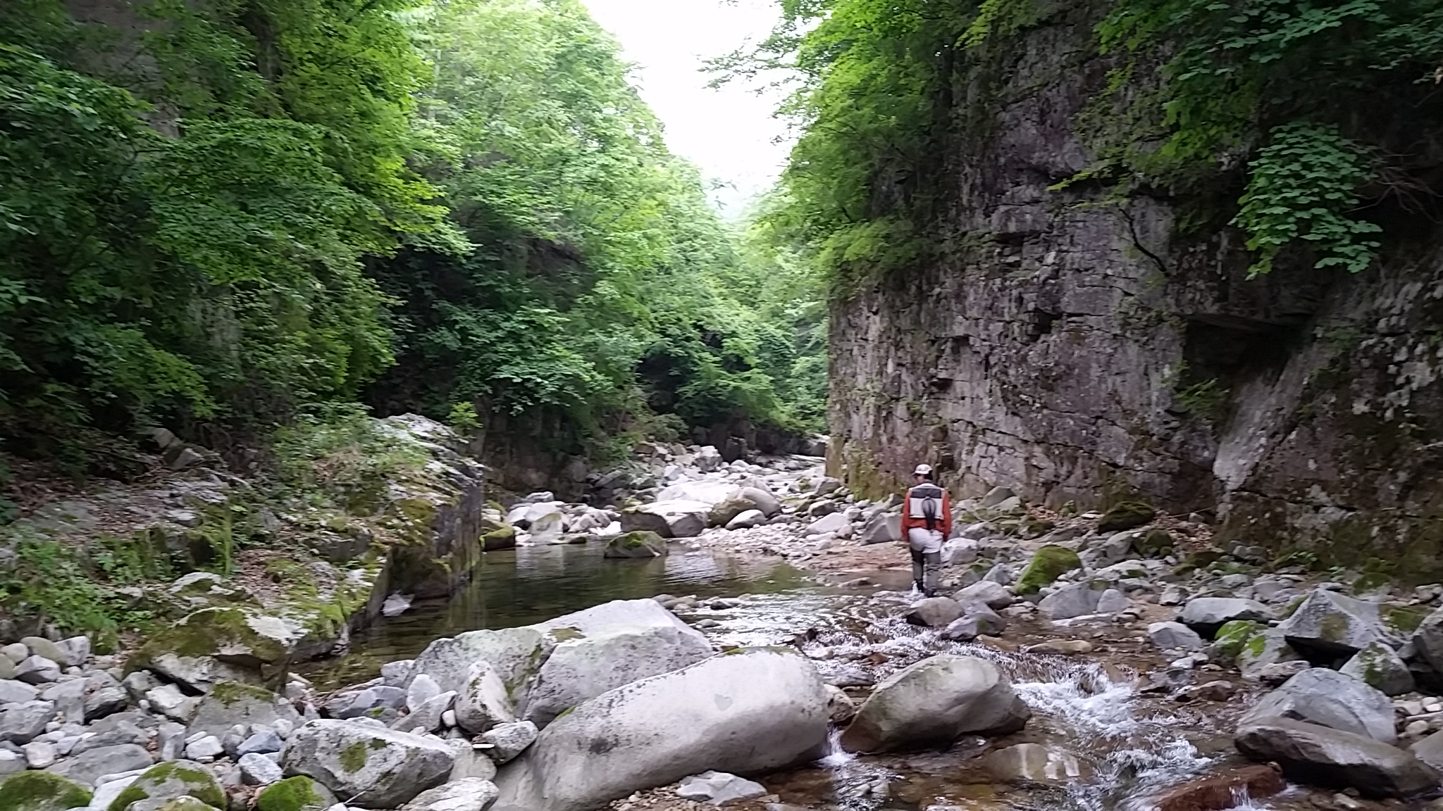 20140607_091249.jpg