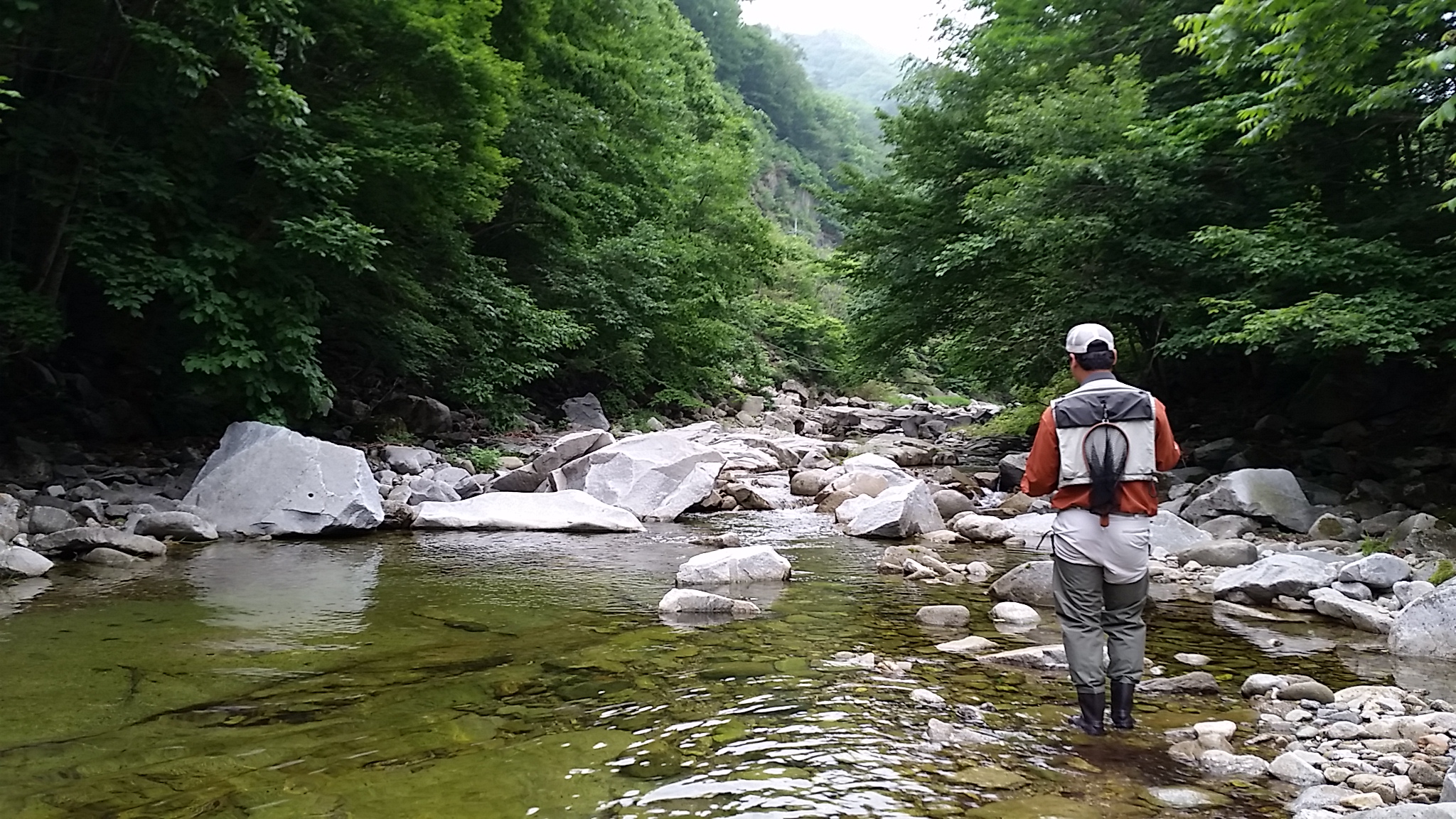 20140607_081807.jpg