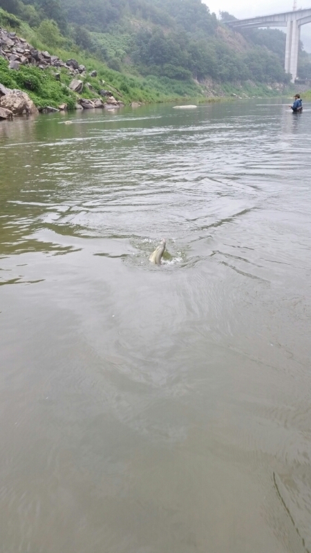 20140814_160054.jpg
