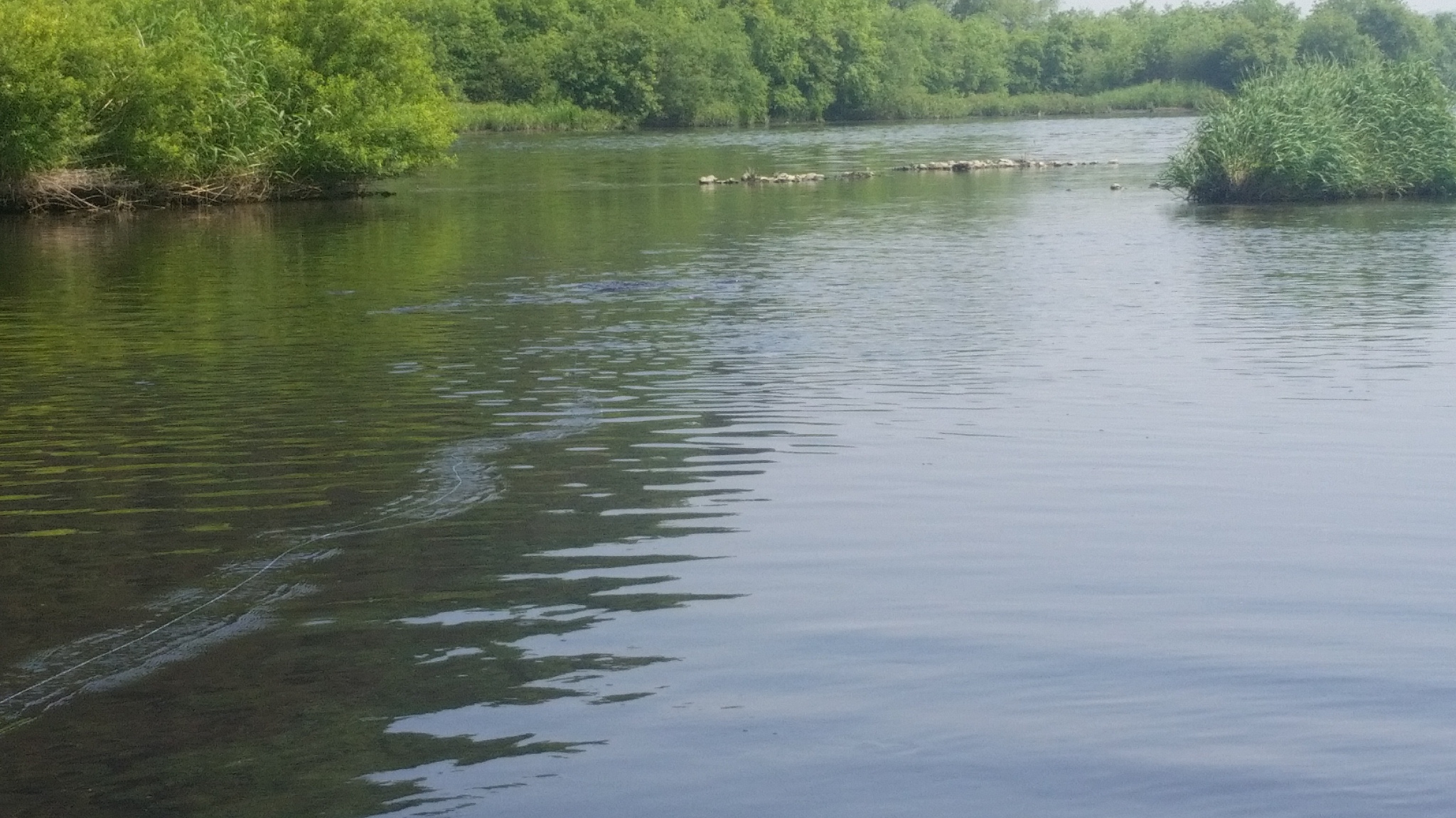 20150516_101738.jpg