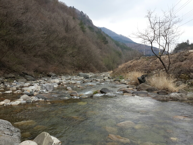20140405_103903.jpg