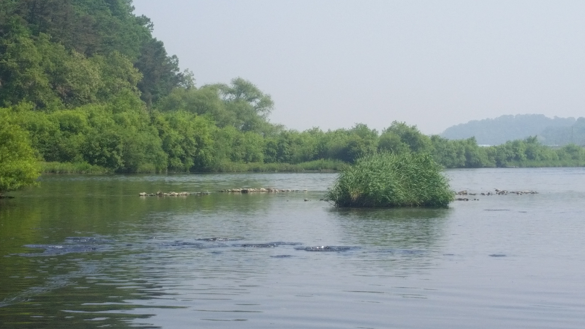 20150516_101751.jpg