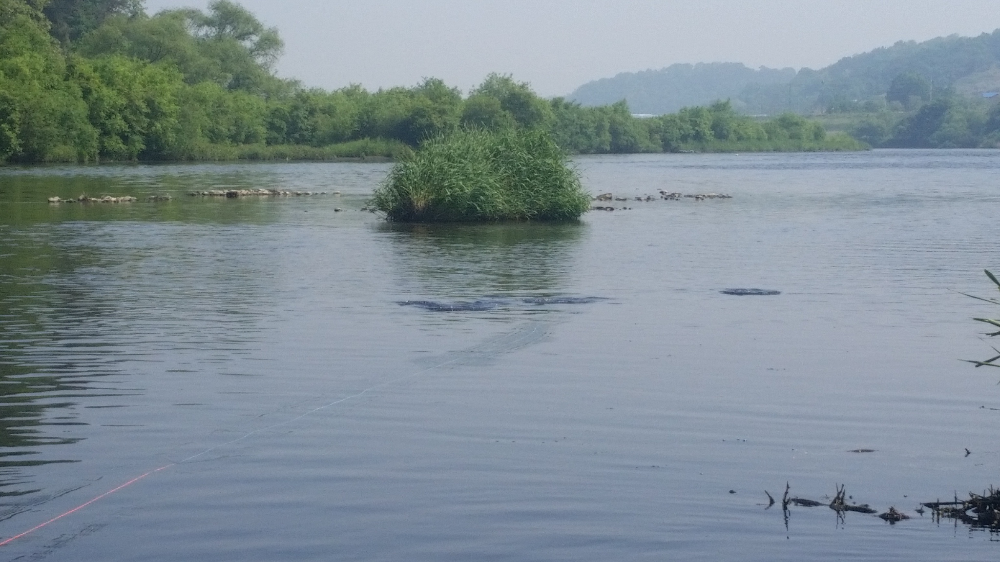 20150516_101845.jpg
