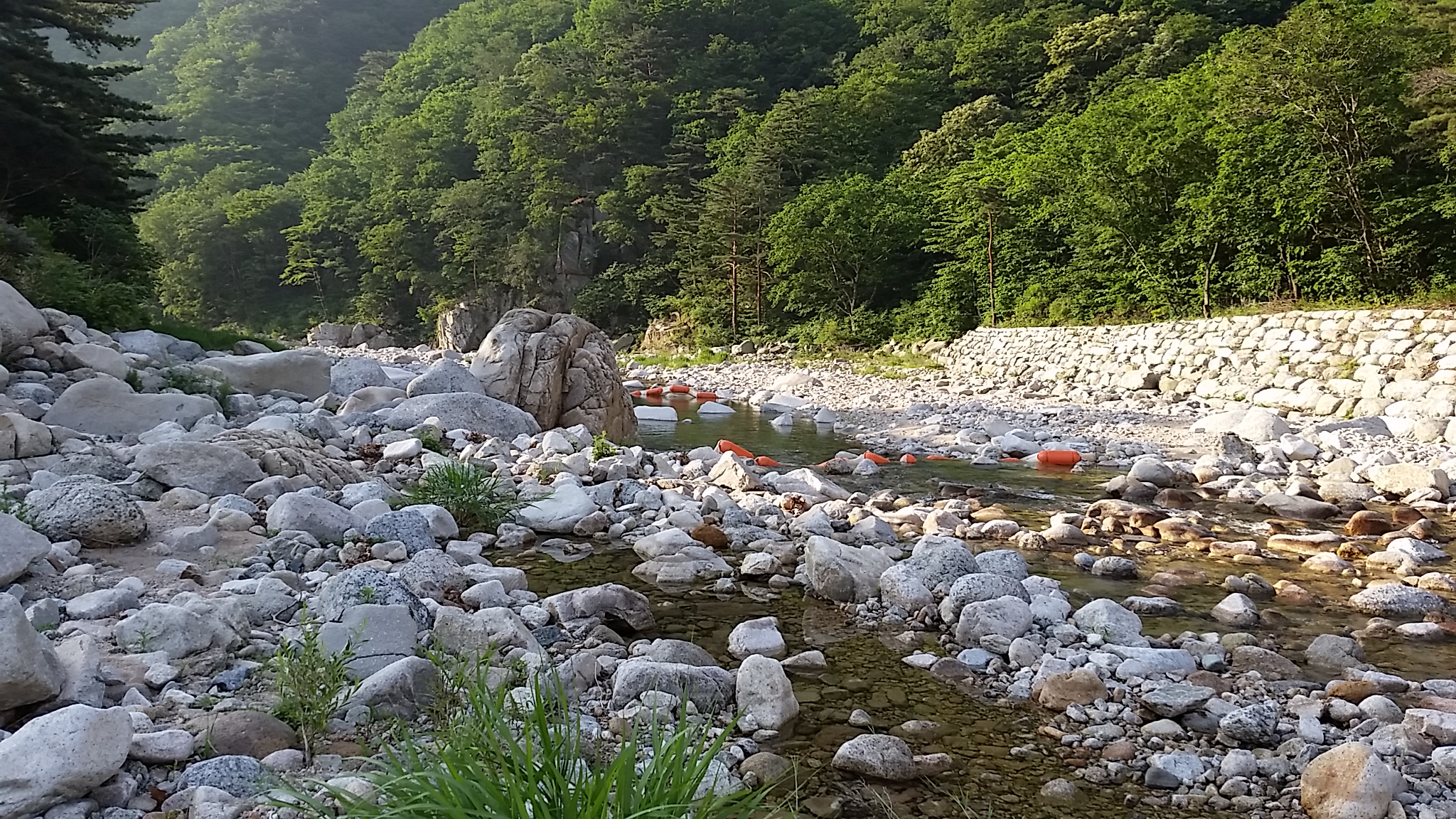 20140606_065622.jpg