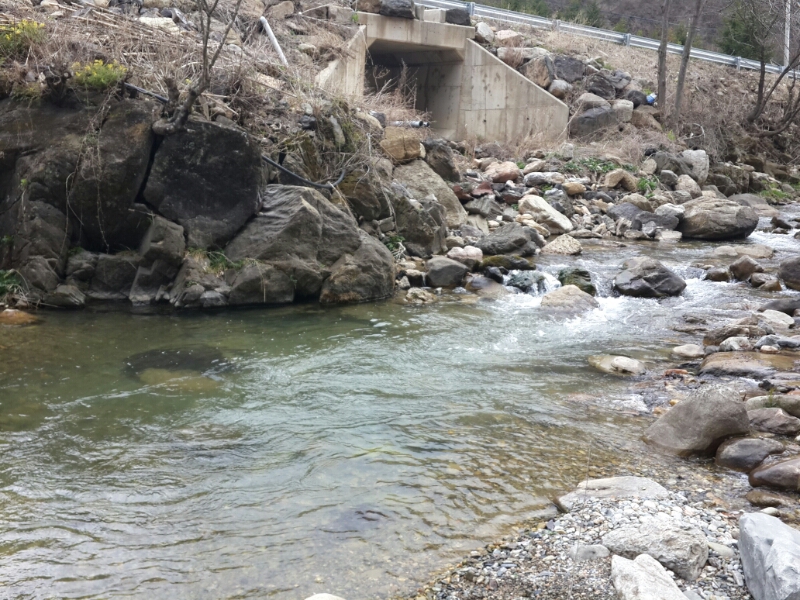 20140405_103858.jpg