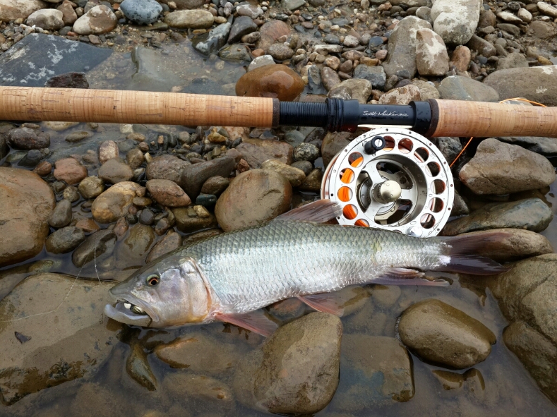 20140427_115226.jpg