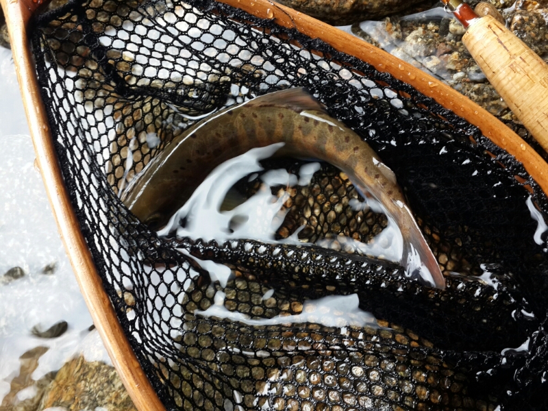 20140329_121003.jpg