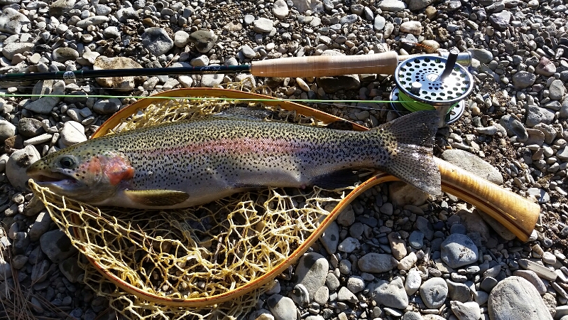 20141206_112524.jpg