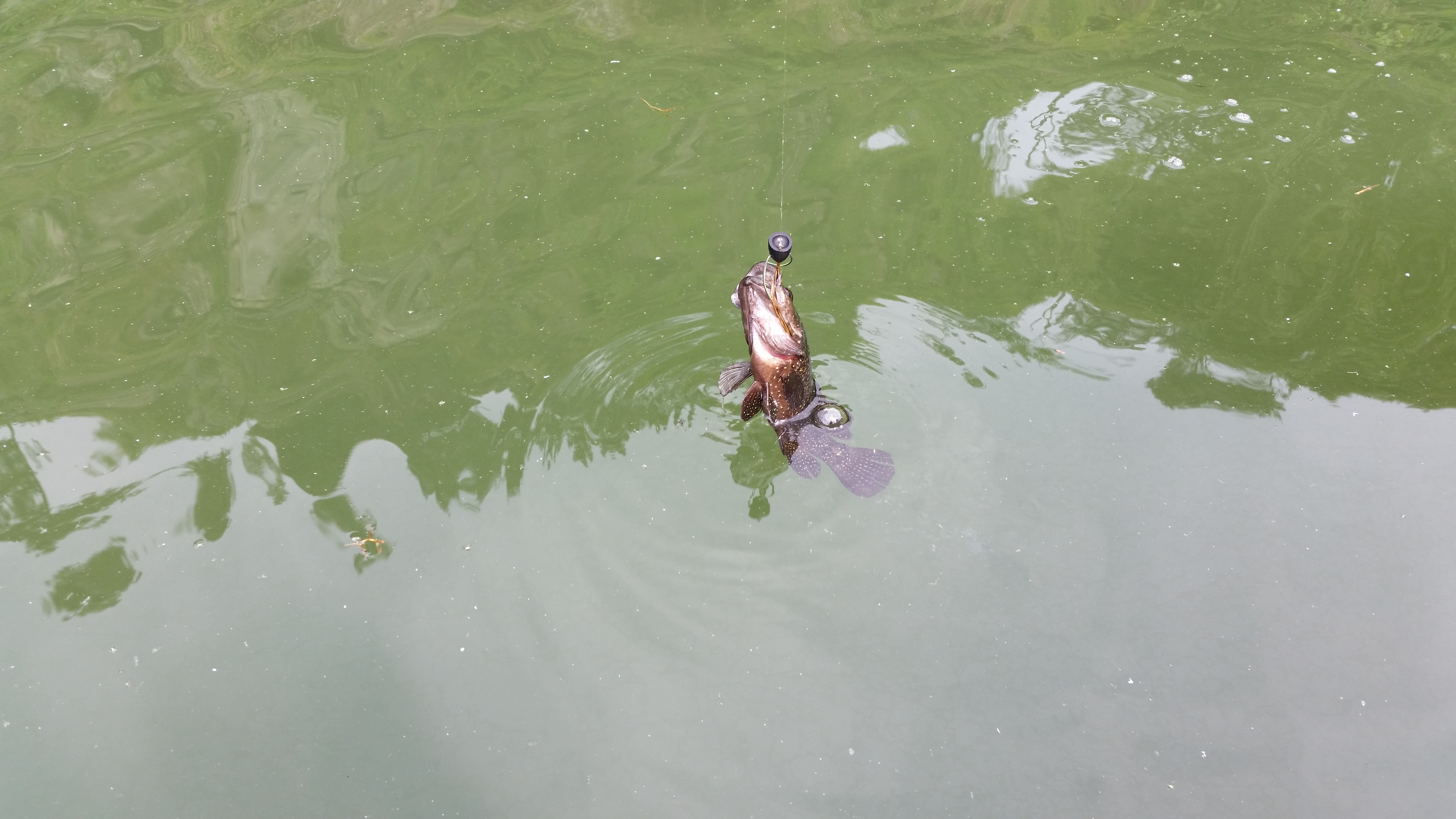 20140525_094118.jpg
