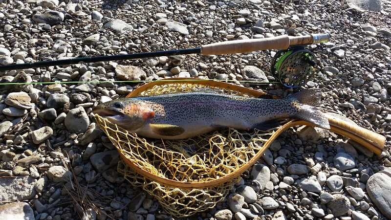 20141206_112543.jpg