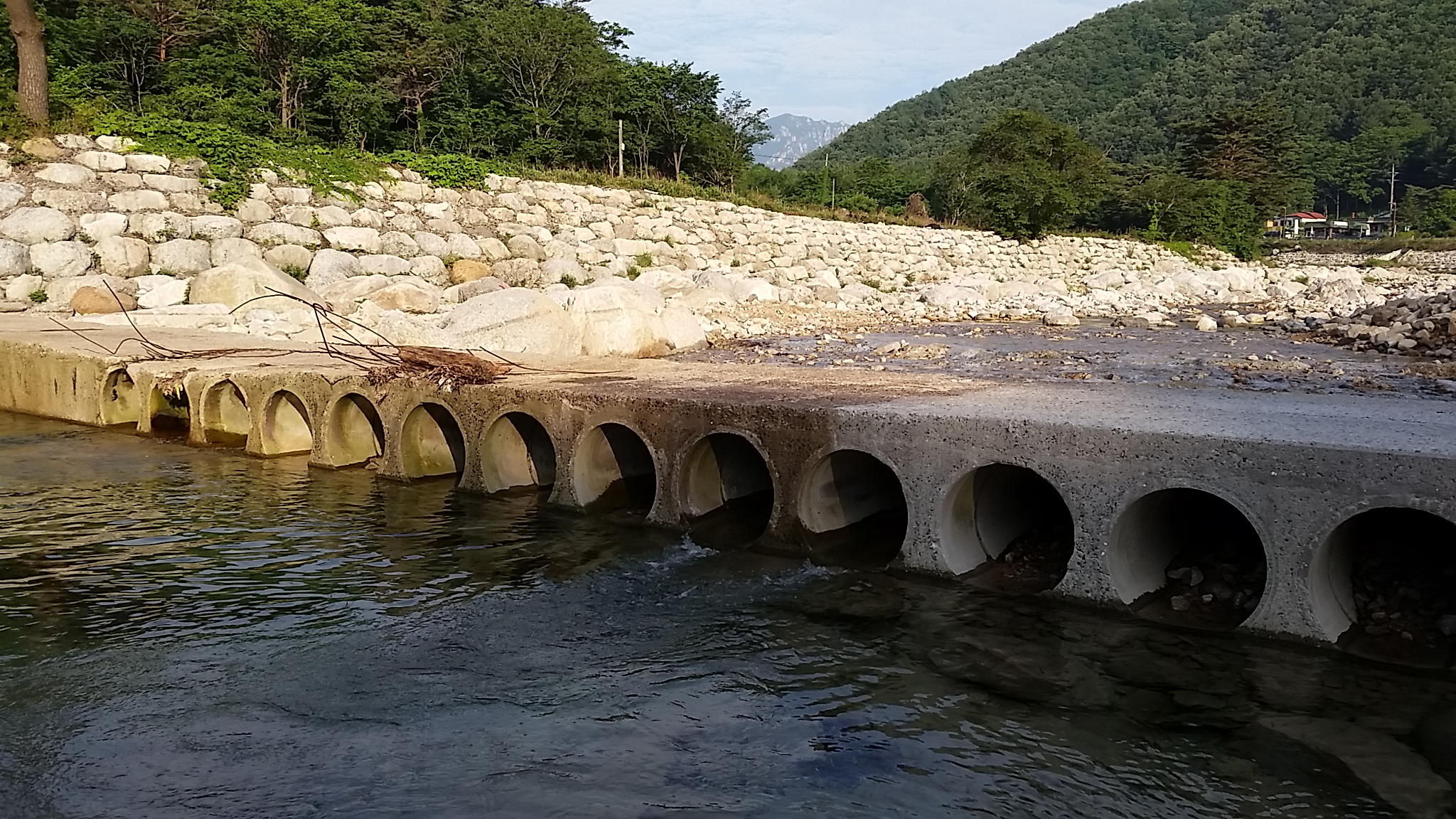 20140606_065618.jpg